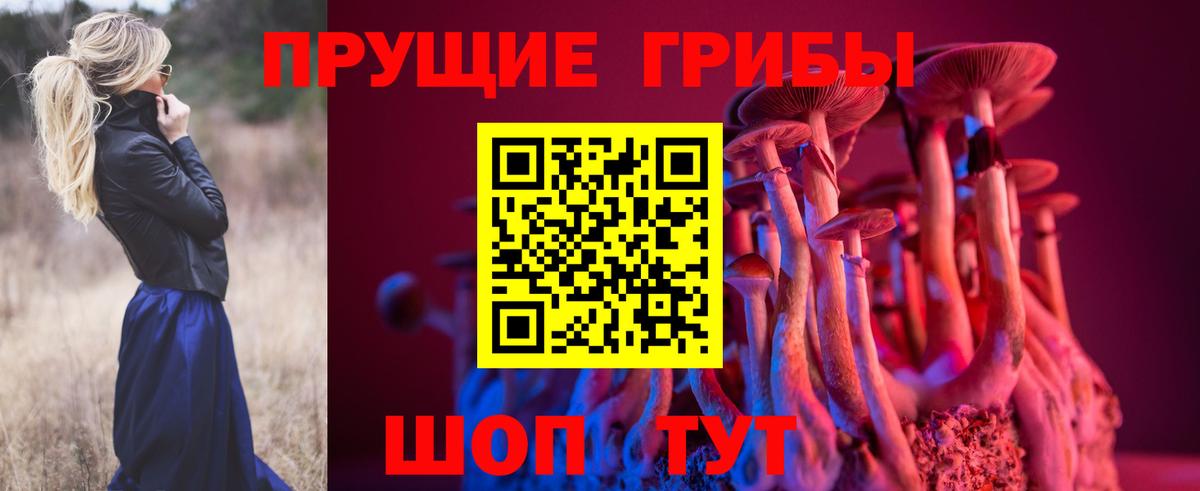 Галлюциногенные грибы мицелий  Вход с VPN  Новомосковск 